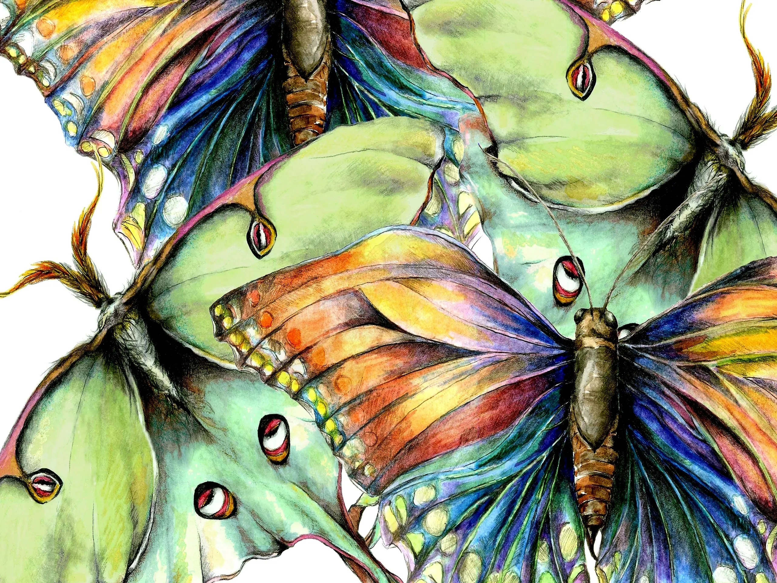 Pastel Butterfly #2 Outdoor Art